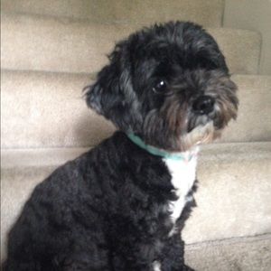 Meet your Posher, Heather